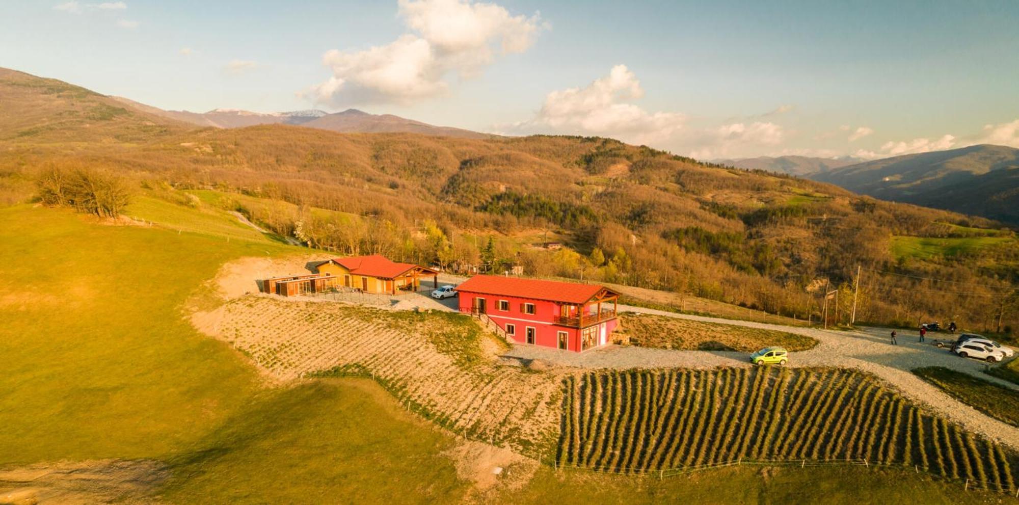 Azienda Agricola Saint Hubert 칸타루포 리구레 외부 사진